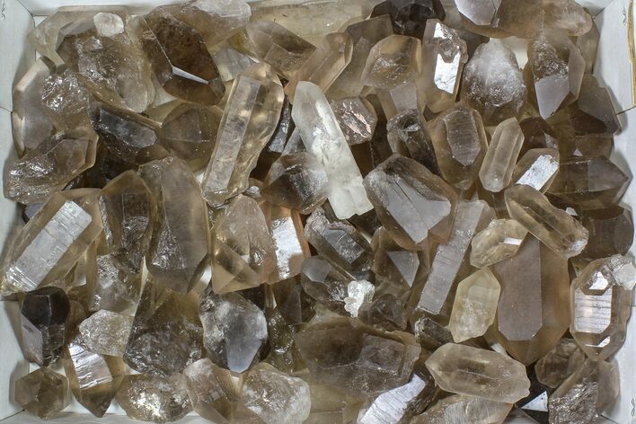 Lot: Lbs Smoky Quartz Crystals (-) - Brazil #84233
